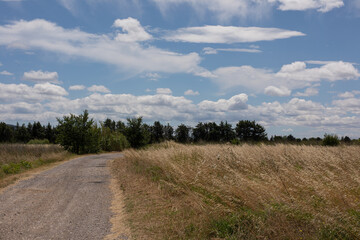 Fototapeta na wymiar dirt road in the countryside with a beautiful cloudy sky