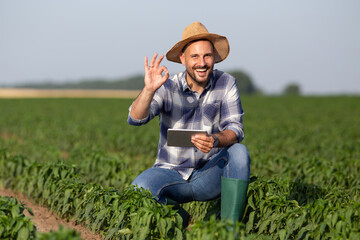Handsome farmer smiling in vegetable field showing okay sign at camera