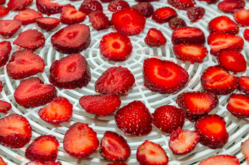 Sliced Strawberry Cooking Homemade Strawberry Chips in Vegetable Dryer.