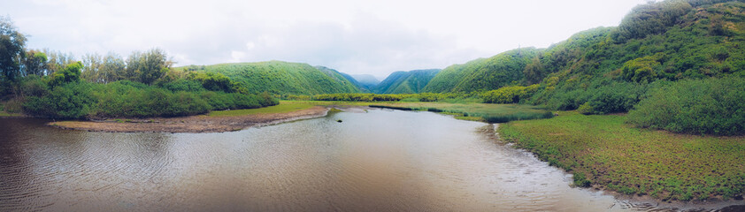 Fototapeta na wymiar Pololū Valley