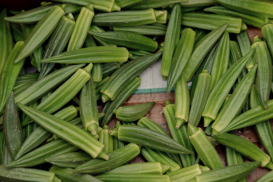 Bunches of fresh okra at a summer farmer's market