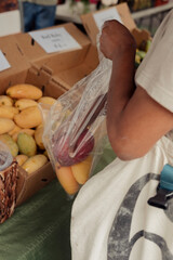Shopper selecting mangoes at a farmers market