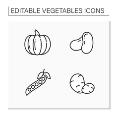 Vegetables line icons set. Edible plant. Vegetarian, healthy nutrition. Pumpkin and beans, peas and potatoes. Agriculture concept. Isolated vector illustration. Editable stroke