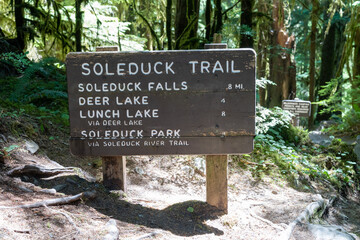 Sol Duc Falls, Lunch lake, Deer Lake and the Seven Basin loop trailhead directional sign in Olympic National Park