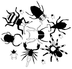 Horned, mustachioed Beetles, spiders with tentacles, whiskers, crawling horns. Vector graphics