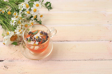 Chamomile and mint herbal tea, alternative medicine concept, autumn background, Set of medicinal...