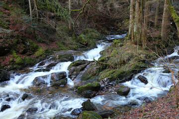Landschaft Schwarzwald - Ravennaschlucht / Landscape Black Forest - Ravenna Gorge /