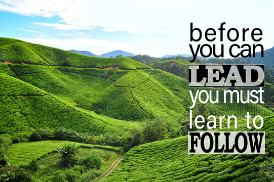 Inspirational and motivational quote. Phrase Before you can lead, you must learn to follow