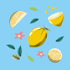 Lemon. Lemon pieces. Lemon slices. Flowers and leaves. Lemonade. Juice.