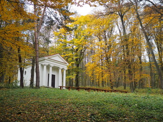 autumn in the park