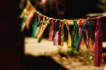 colorful clothes pegs
