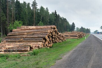 Logs are piled up on the side of the highway near Moscow in the summer