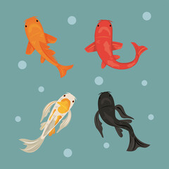 Fototapeta premium four koi fishes