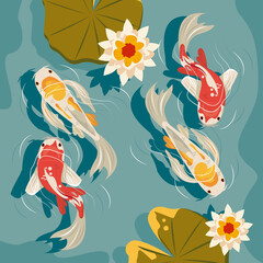 koi fishes airview