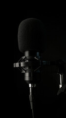 Professional close up microphone with insulating foam