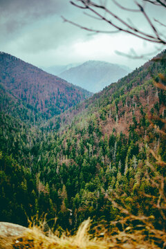Beautiful landscape with thick trees covering vast hills in the Tomasovsky View in Slovakia