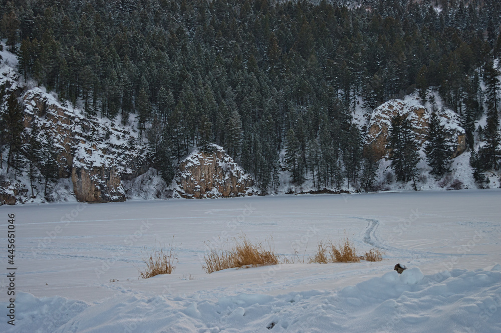 Poster scenic view of a field and a bushy forest enveloped in snow