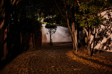 Fototapeta premium alley at night