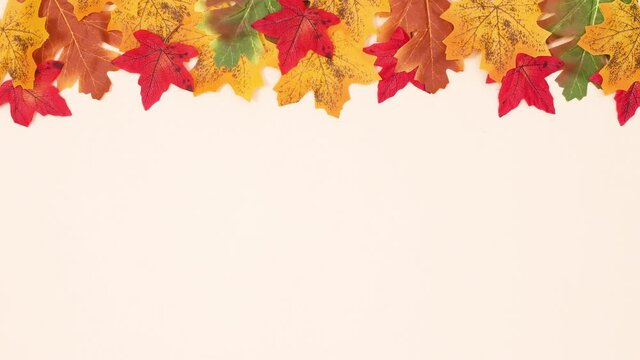 Autumn leaves ordering on the top of beige background. Stop motion
