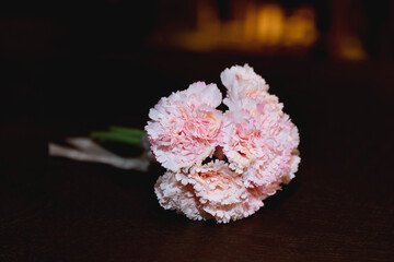 A bouquet of pink carnations for Mother's Day