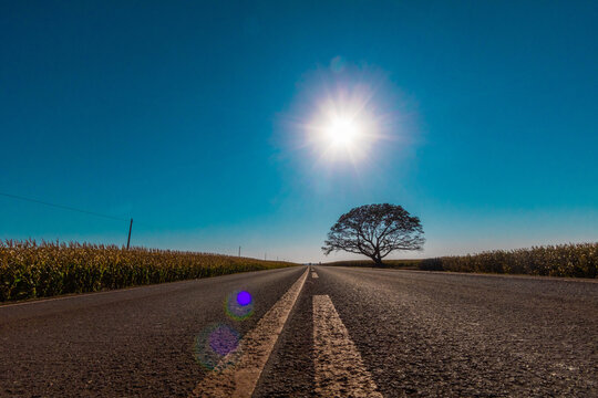 Foto na estrada com sol ao fundo