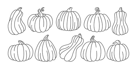 Pumpkin doodle line set. Autumn contour ripe whole pumpkins icon. Halloween or Thanksgiving Day festival symbol harvest collection. Trendy agricultural hand drawn contour vegetable. Isolated vector
