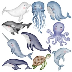cute animal aquatic watercolor illustration