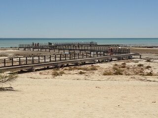 Fototapeta na wymiar View of the footbridge (pedestrian bridge) in Hamelin Pool Marine Nature Reserve, Shark Bay, Western Australia. UNESCO World Heritage site. Home of stromatolites, part of Earth Geological history.