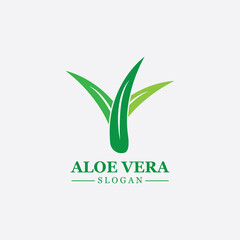 Green plant aloe vera logo vector icon symbol many benefits