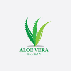 Green plant aloe vera logo vector icon symbol many benefits