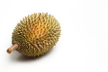 Fresh Durian fruit isolated on white background. Copy Space