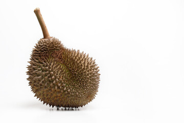 Fresh Durian fruit isolated on white background. Copy Space