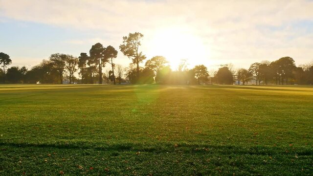 Mona Vale Garden Park, a piece of green lawn under the sunshine, full of vigor and vitality, the sun shining through the trees, panning shot
