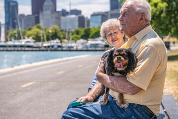 Fototapeta premium A cute dog, a Cavalier King Charles Spaniel, smiles and has a fun day out with its owners, a beautiful senior couple, visiting the lake.