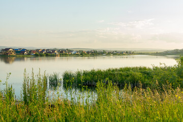 A warm sunny evening on the lake. Sunset on a village lake surrounded by cattails and willow bushes.