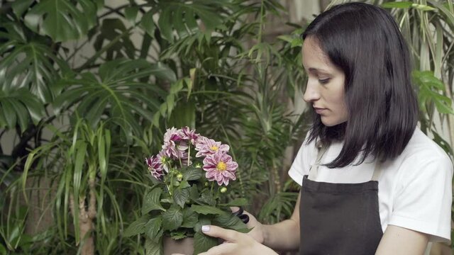 Close-up Happy woman is engaged in pruning house plants