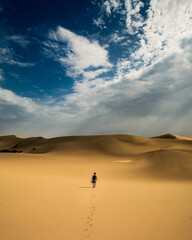 Back view of a man walking alone in the desert under a dramatic cloudy sky