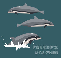 Fraser's Dolphin Cartoon Vector Illustration