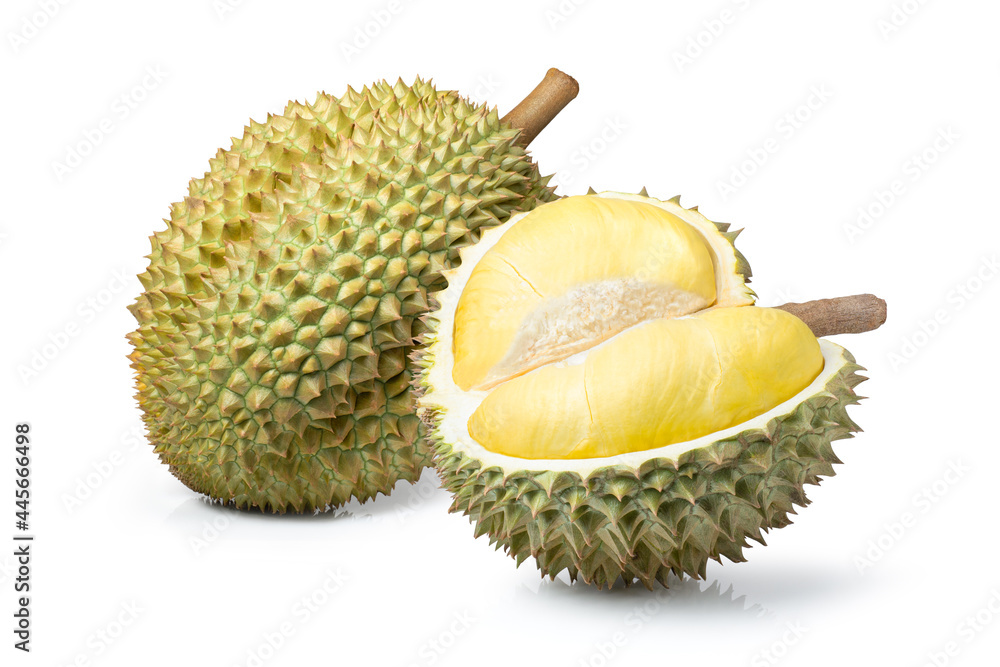 Poster durian isolated on white background