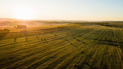 Agricultural field. Rolled hay pieces lie on a mown field in the fall. View from above.