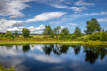 Pond and peat-bog in summer landscape