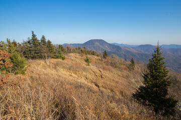 Autumn peak of a low mountain in the Primorsky region.