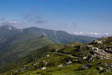 Fototapeta na wymiar summer in the Carpathians landscapes