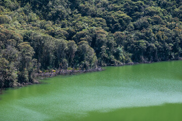 Laguna de Guatavita in Colombia, you can see the lake and surrounding mountains with forest.