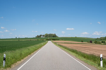 Asphalt road in landscape between fresh cornfield and agriculture field with nice blue sky 
