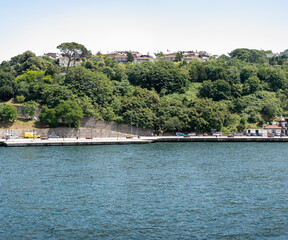 Fototapeta premium istanbul shores and mansions