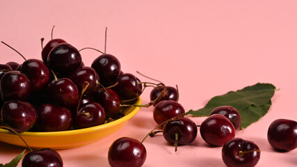 Close up fresh cherries with stalks and leaves on pink background.