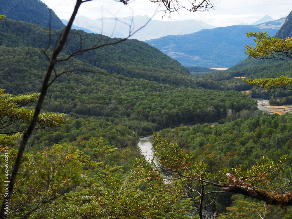 Canvas Prints Beautiful view of the water that goes through the mountains covered in forests