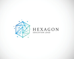 Fototapeta premium hexagon logo creative design concept digital system