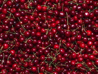 Background of ripe red cherries in full screen. Burgundy berry wallpaper close-up. The concept of the autumn harvest, a showcase with fruits in the store.